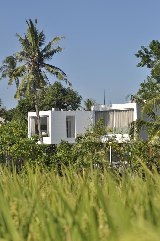 Villa Ashoka Canggu מראה חיצוני תמונה